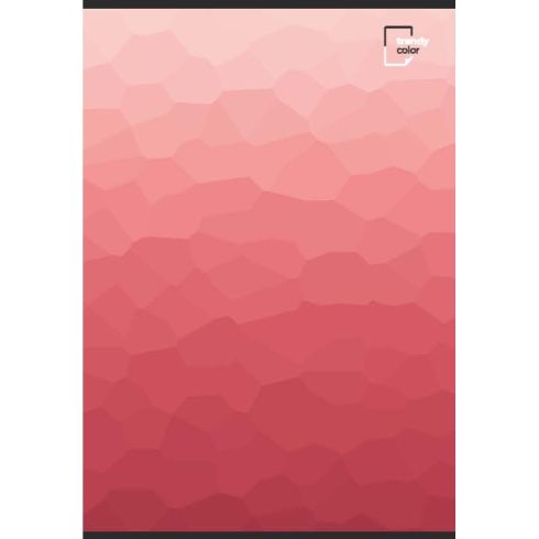 Trendy Color A4 тетрадки за момиче 80л шита 4бр