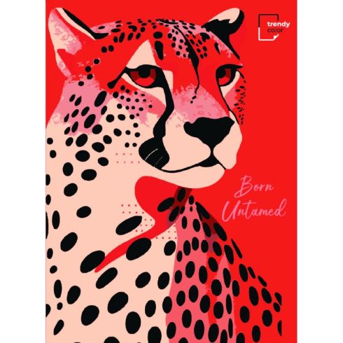 Trendy Color A4 тетрадка за момче 150л спирала ШР 5 теми