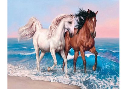 Рисуване по номера  50Х40 CENTRUM  89659