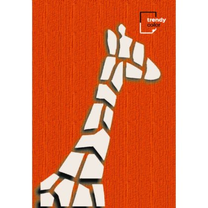 Trendy Color B5 тетрадка за момиче 70л 2 теми