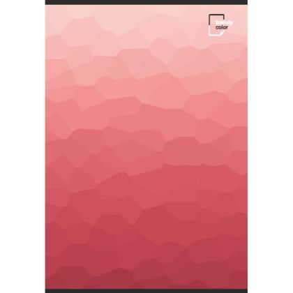 Trendy Color A4 тетрадка за момиче 80л шита