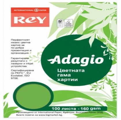 Картон ADAGIO Spring Green А4 100 листа