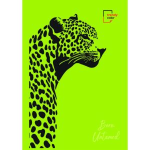 Trendy Color A5 тетрадка 90л спирала 3 теми момиче