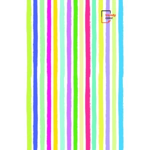 Trendy Color A5 тетрадка 90л спирала 3 теми момиче