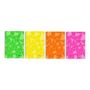 Trendy Color A5 тетрадка за момиче 100л PP