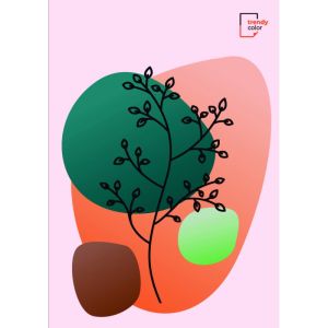 Trendy Color A4 тетрадка за момиче 120л спирала ШР