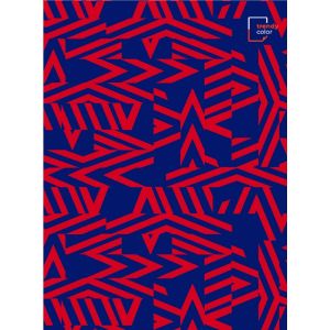 Trendy Color A4 тетрадка за момиче 90л спирала ШР 3 теми