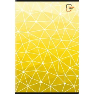 Trendy Color A4 тетрадки за момче 40л шита 6бр