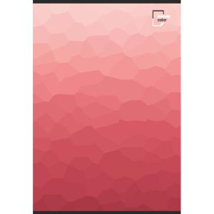 Trendy Color A4 тетрадки за момиче 80л шита 4бр