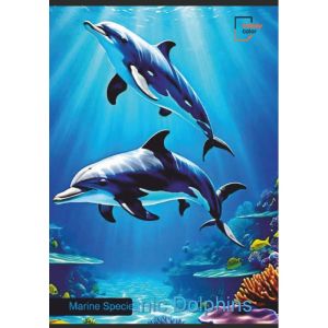 Trendy Color A4 тетрадки за момиче 80л шита 4бр