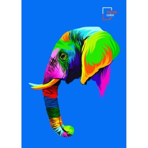 Trendy Color A5 тетрадка 180л 6 теми момче