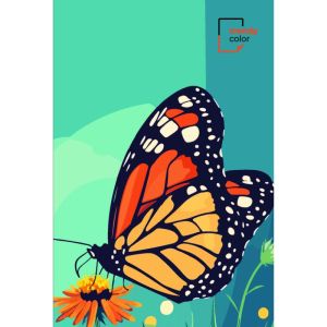 Trendy Color B5 тетрадка за момиче 105л 3 теми MK